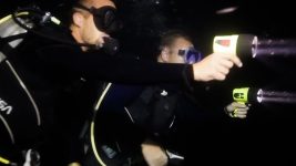 Nachtduik op de Amerikaanse Maagdeneilanden