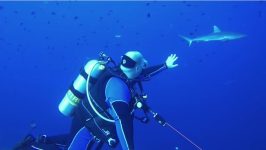 Tips voor duiken met rifhaken? 